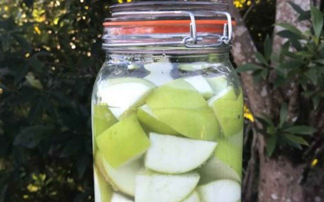 Fermented Granny Smith apples