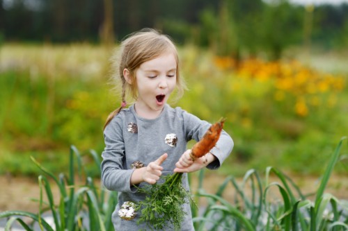 grow your own food and teach children skills for life
