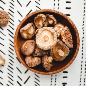 Medicinal-mushrooms