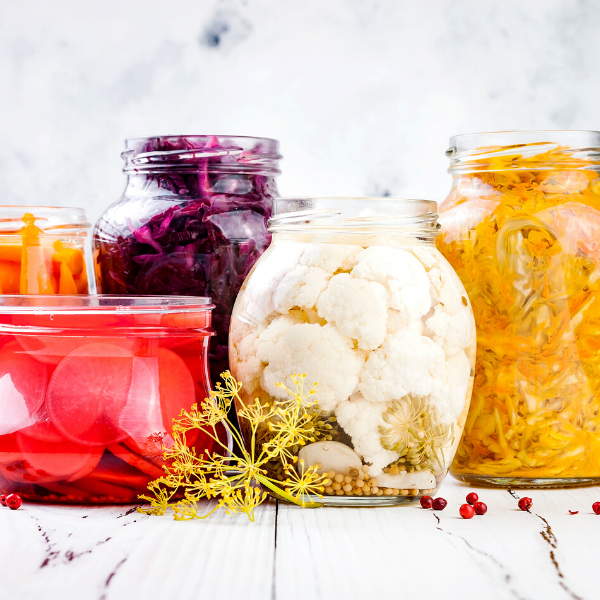 Fermenting Program – EOFY sale 50% off – only $88.50 but hurry!