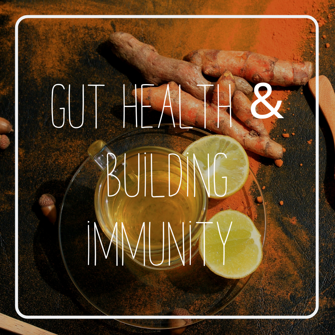 gut-health-immune-building