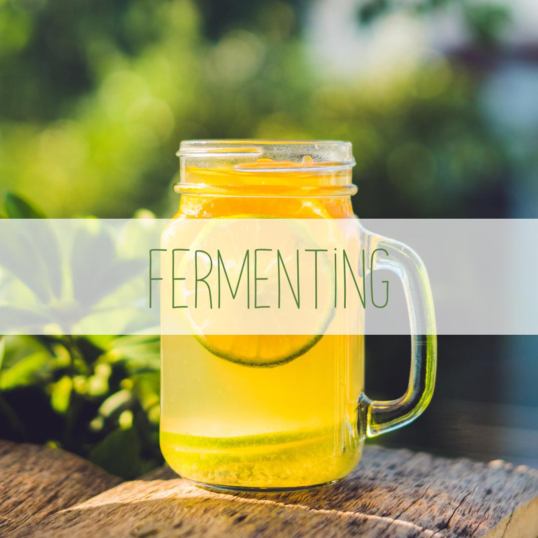 fermenting-program
